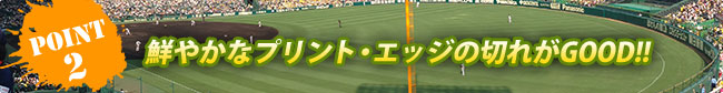 POINT2 鮮やかなプリント・エッジの切れがGOOD!!